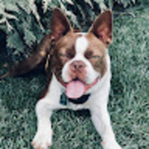 Meet your Posher, Student kayla